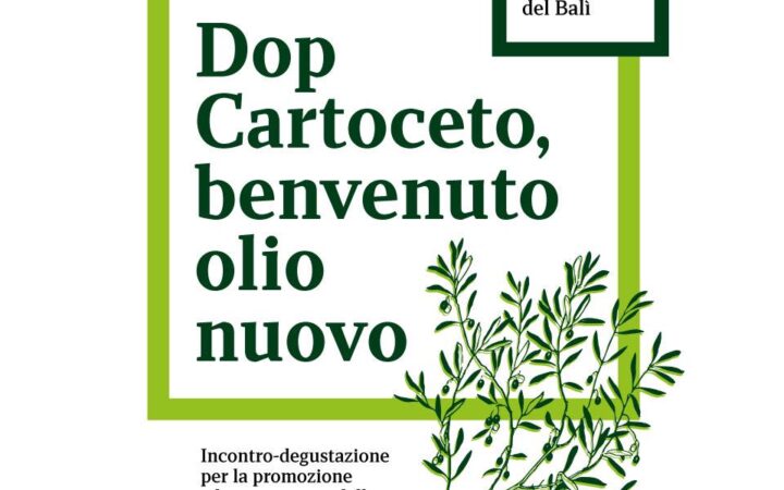 DOP Cartoceto, benvenuto olio nuovo