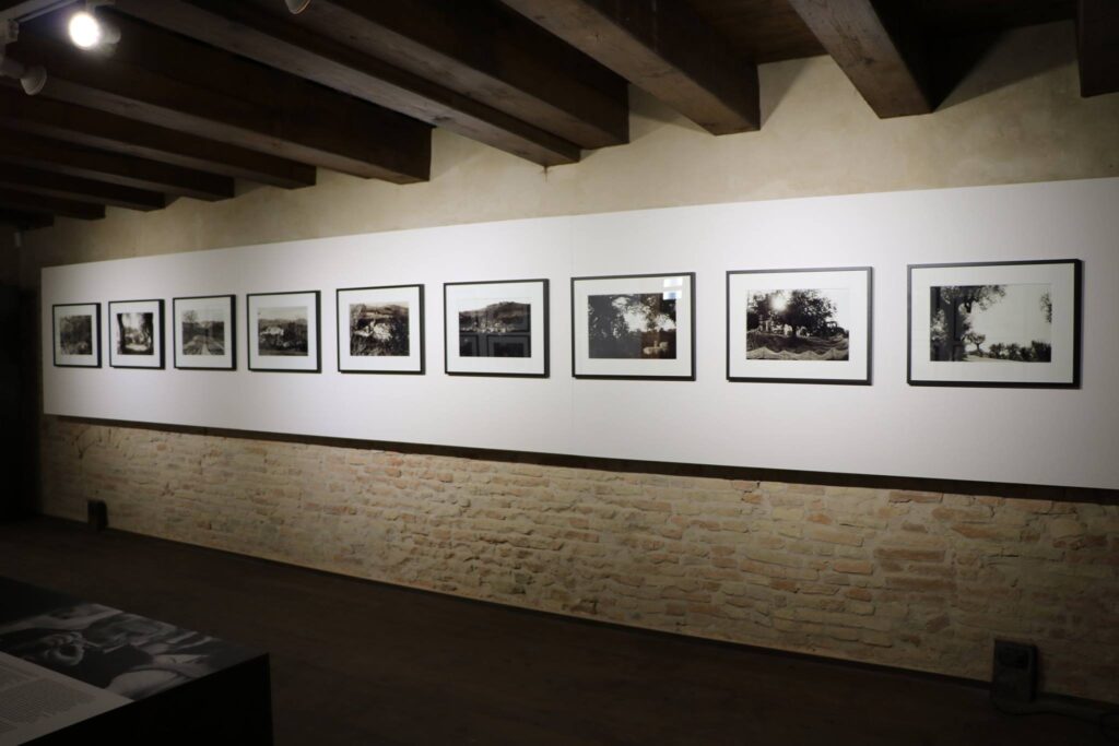 Un timido sguardo alla mostra sul Maestro. Foto di Andrea Contenti. cartoceto-mariodondero-foto-di-andrea-contenti-08