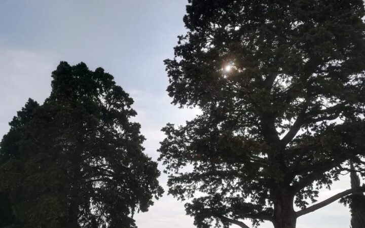GIORNATA FAI D’AUTUNNO 13 OTTOBRE 2019