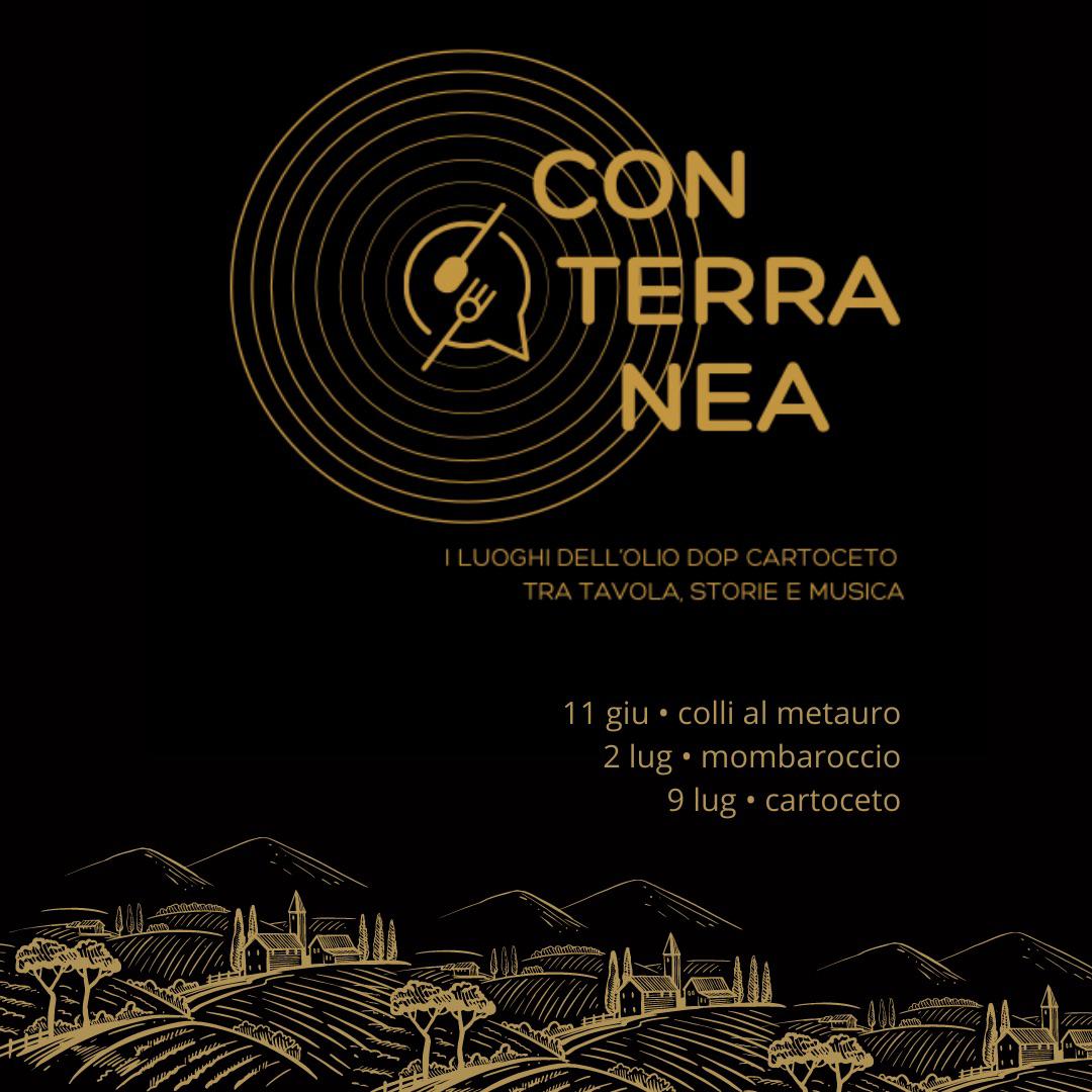 VIAGGIO NELLE TERRE DELL’OLIO DOP CARTOCETO