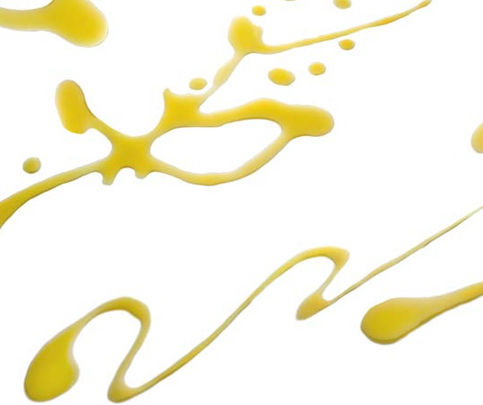 Cartoceto Dop, il Festival – 47^ Mostra Mercato dell’Olio e dell’Oliva di Cartoceto”, domenica 3 e 10 novembre 2024