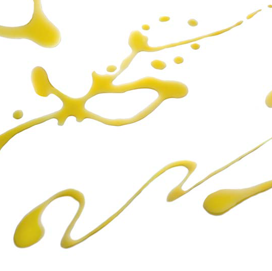 Cartoceto Dop, il Festival – 47^ Mostra Mercato dell’Olio e dell’Oliva di Cartoceto”, domenica 3 e 10 novembre 2024