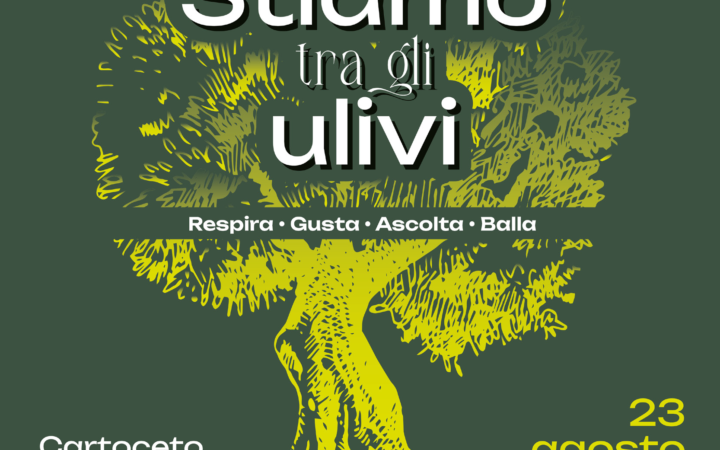 Stiamo tra gli ulivi